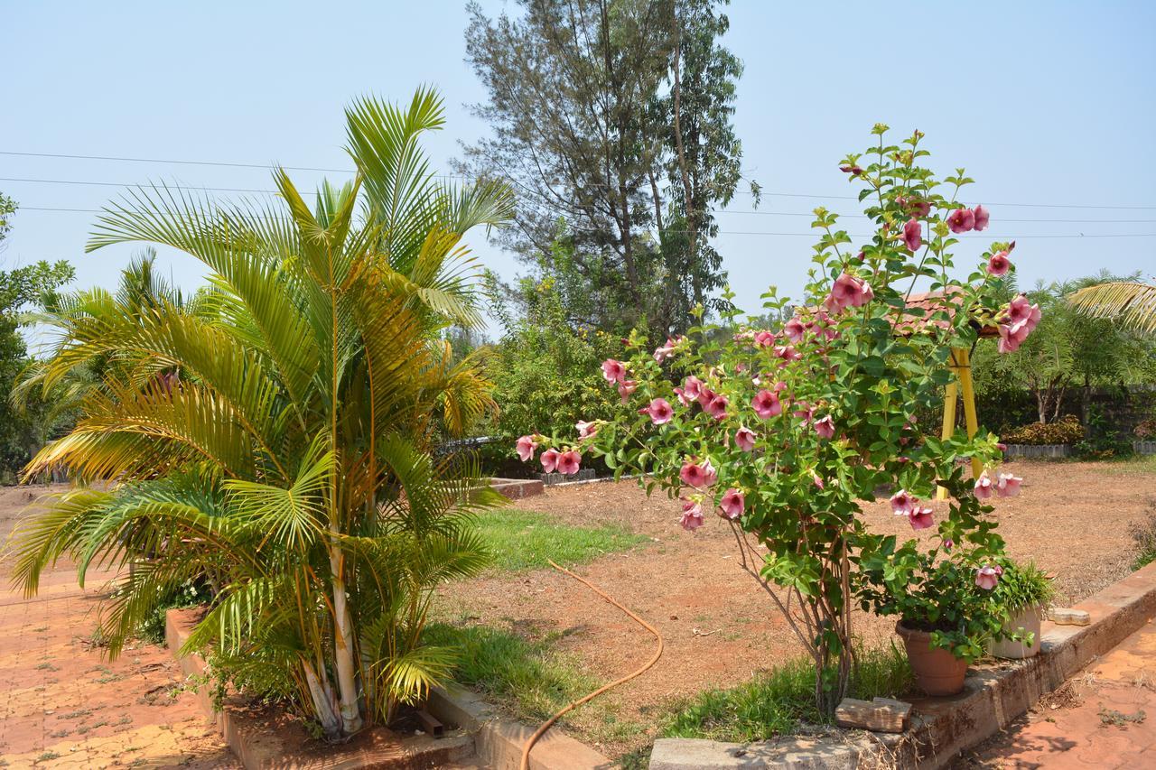 Mango Holiday Resort Kolhápur Kültér fotó